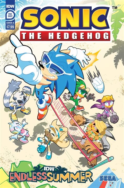 sonic the hedgehog endless summer preview